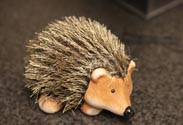 Igel