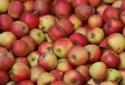 Apfel