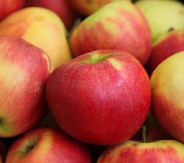 Äpfel