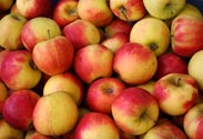 Äpfel