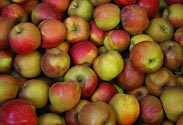 Apfel