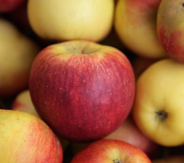 Äpfel