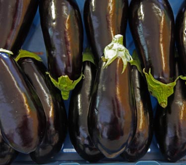 Auberginen
