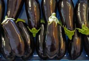 Auberginen