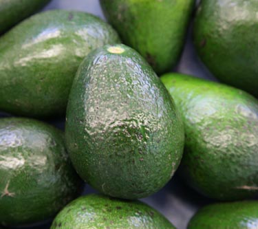 Avocado