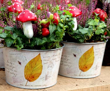 Bepflanzte Zinkschale