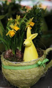 Bepflanzte Tasse mit Hase