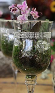 Bepflanzter Glaspokal