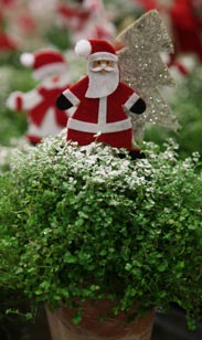 Bubikopf mit Weihnachts-Deko