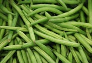 Buschbohnen