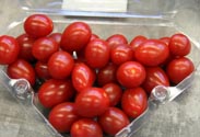 Cherry-Tomaten