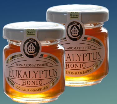 Collier Eukalyptus-Honig