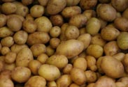 Kartoffeln