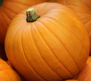 Kürbis Halloween, versch. Größen, essbar