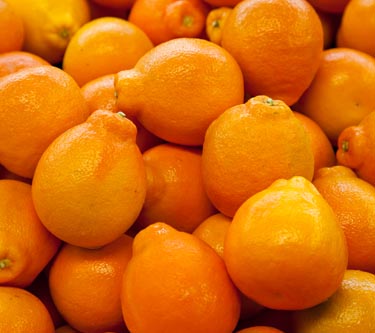 Minneola