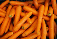 Möhren