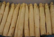 Spargel