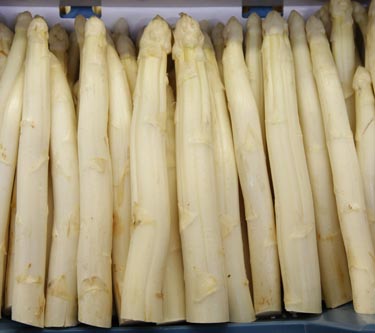 Frischer Spargel