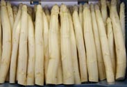 Spargel