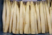 Spargel