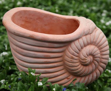 Terracotta-Muschel