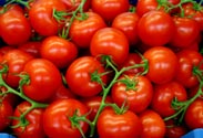 Tomaten