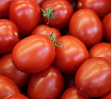 Tomaten