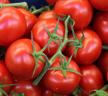 Tomaten