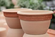 Topf Terracaotta