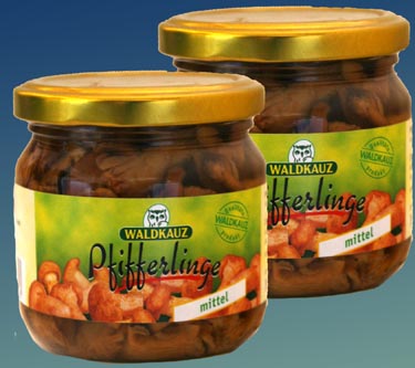 Waldkauz Pfifferlinge