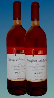 Portugieser Weißherbst