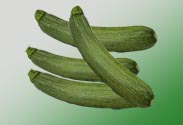Zucchini