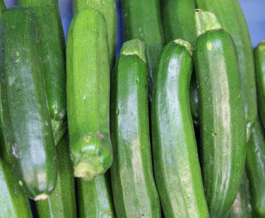 Zuccini