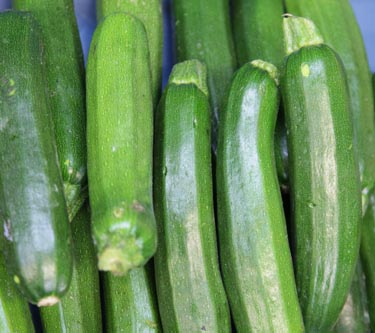 Zuccini