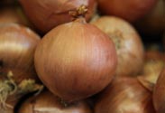 Zwiebeln